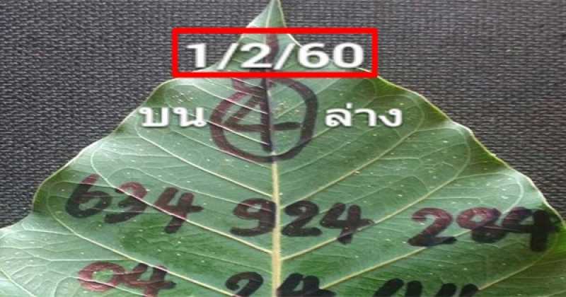 เลขเด็ด !!! เลขจากใบโพธิ์ งวดวันที่ 01/02/60