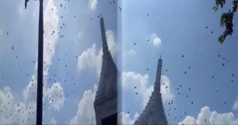 โซเชี่ยลฮือฮา เกิดปรากฏการณ์แปลก บริเวณพระบรมมหาราชวัง ( ชมคลิป )