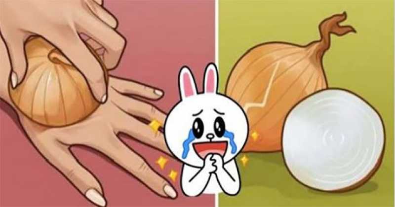 จริงหรอเนี้ย !! ค่ผ่าหัวหอมครึ่งลูก แล้วทาลงบนหลังมือ…แทบไม่น่าเชื่อกับผลลัพธ์ที่ได้!