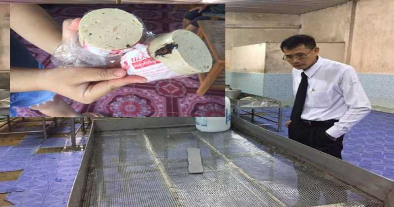 สั่งปิด!!! โรงงานผลิตหมูยอชื่อดัง 30 วัน หลังเจอแมลงสาบติดในหมูยอ