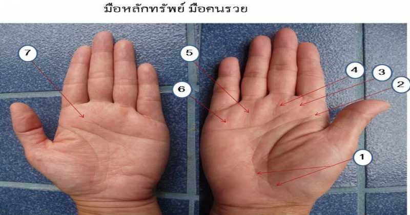 ลายมือของคนที่จะรวย!!!  มาวิธีดูลายมือรวย ร้อยล้าน หากคุณมีลายแบบนี้…ถึงจะเกิดมาจน แต่สุดท้ายก็รวยทุกรายเพราะเขามีเส้นนี้อยู่…