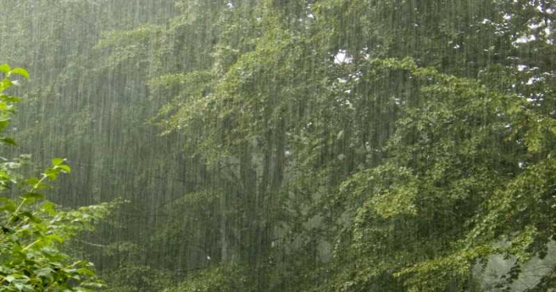 กรมอุตุฯเตือน’ภาคกลาง ตอ. ภาคใต้’ ระวังอันตรายจากฝนตกหนัก กทม.-ปริมณฑลวันนี้ฝน70%ของพื้นที่