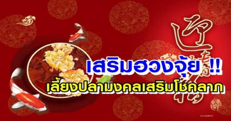 "5 ปลามงคล" เสริมโชคลาภรับตรุษจีน! “5 ปลามงคล” เสริมโชคลาภรับตรุษจีน!