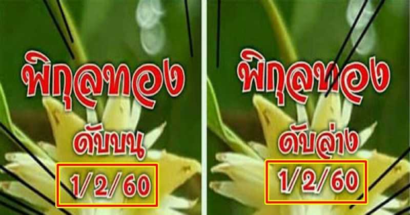 เลขดับพิกุลทอง (ดับบน-ล่าง) งวดวันที่ 01/02/60