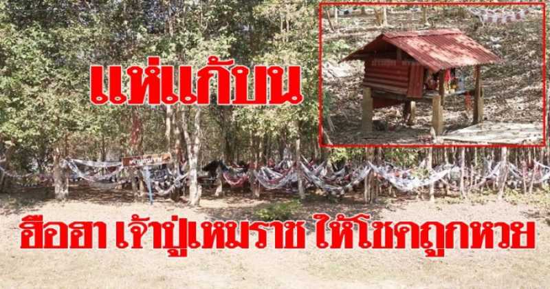แห่แก้บนเปลญวน!!  คอหวยฮือฮากันยกใหญ่‘เจ้าปู่เหมราช’ให้โชคถูกหวย ขอพรสมหวังทุกราย